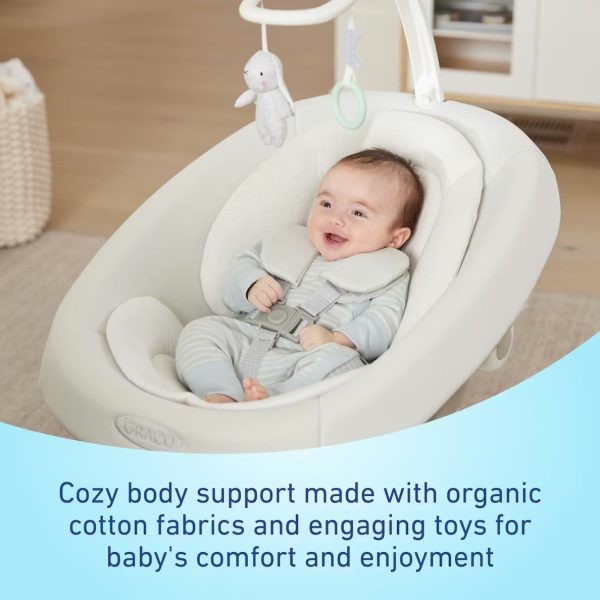 SmartSense™ Soothing Baby Swing